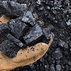 Charbon de tamarin en morceaux à combustion longue durée est le choix idéal pour griller au barbecue avec une chaleur de flamme plus durable. - Product Image 5