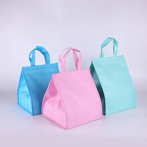Insulated Lunch Bag PP Non-Woven Fabric With Handle Closure Food Storage Cooler Bag for Picnic, Milk Tea Fast Food Takeaway - Product Image 1