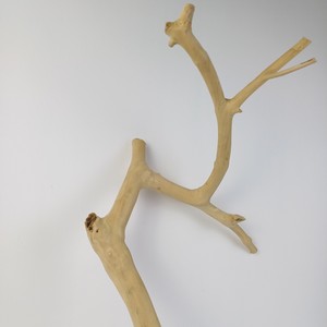 2026 Más Vendido: Soporte de Juguete Ecológico de Madera de Java para Pájaros, de Madera de Café, para Juguetes de Aves, de Fábrica Vietnamita al por Mayor - Product Image 5