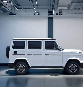 Vendedor de China: Mini Auto Eléctrico, Mini G Wagon, Auto Eléctrico para Adultos - Product Image 3