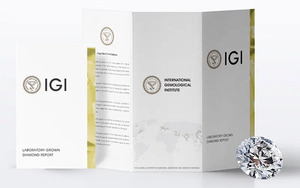 ผู้จัดจำหน่ายเพชรเหลืองทรงคุชชั่นที่ได้รับการรับรองจาก IGI สำหรับผู้นำเข้าเครื่องประดับระดับโลก โครงการ OEM และคำสั่งซื้อขายส่งจำนวนมาก - Product Image 6