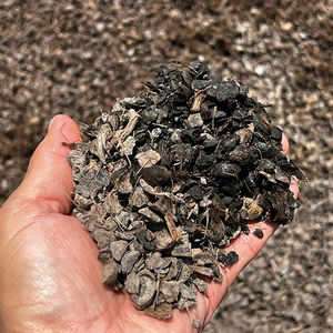 Mejor Precio y Entrega Rápida de Cáscaras de Palma Secas de Origen Austriaco, Servicio OEM/ODM, Disponible en Puertos de Todo el Mundo, Venta al Por Mayor - Product Image 1