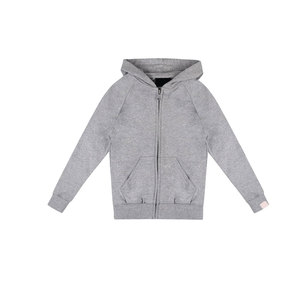 Survêtement gris à capuche pour garçons, manches longues, couleur unie, décontracté, avec fermeture éclair et poche avant, en coton mi-lourd, pour l'automne - Product Image 2
