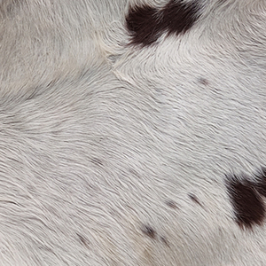 NEW White Drum Head Montessori Percussion Head Drum Round Shape High Quality Premium Professional Manufacturer Pakistan Drum - Product Image 6