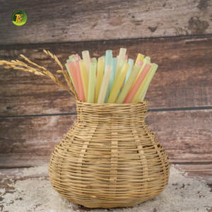 Pajitas Desechables Ecológicas de Harina de Arroz Vietnamita, Libres de Plástico, para Bares y Fiestas de Cócteles - Product Image 6