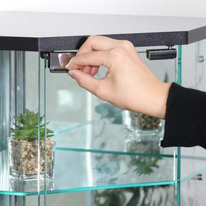 Estante de Exhibición de Vidrio Templado de Esquina, Estilo Moderno y Minimalista, Mueble para el Hogar, Gabinete de Escritorio, Sala de Estar, Hotel, Restaurante, TMG-G309 - Product Image 6