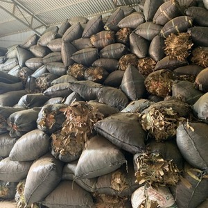 ใบอบเชยบดออร์แกนิก ราคาแข่งขัน เยนไป๋ เวียดนาม |   กลิ่นหอมธรรมชาติบริสุทธิ์สำหรับอุตสาหกรรมชาและธูปหอม อายุการใช้งาน 24 เดือน - Product Image 2