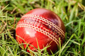 Pelota de Cricket Personalizada con Logotipo, Duradera, Rellena de Plumas, Cuero de Primera Calidad, Cosida a Mano - Product Image 5