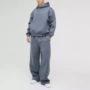 Sweat-shirt à capuche surdimensionné pour homme, gris uni, 100% coton molletonné, vêtement décontracté d'automne, coupe classique, respirant, pull-over ROLEIN 380g - Product Image 1