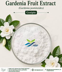 โรงงาน HGO จัดจำหน่ายสารสกัดจากผลดอกพุดธรรมชาติ (Gardenia jasminoides) เกรดอาหาร เจนิพิน 98% สารสกัดมาตรฐาน - Product Image 1