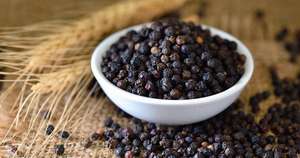 Pimienta Negra en Polvo Granulada de la Mejor Calidad al Mejor Precio, Pimienta Negra Triturada 550GL, Condimento Premium para Carne de Res - Product Image 2