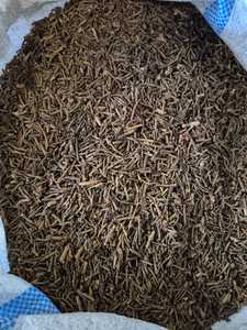 Clavos Aromáticos Secos de Alta Concentración de Aceite de Indonesia, MOQ 10 MT, Marca Global Agro Komoditi, Envío a Todo el Mundo, B2B - Product Image 4