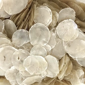 เปลือกหอยคาปิซสำหรับงานฝีมือเครื่องประดับ ราคาถูกที่สุด เปลือกหอยธรรมชาติ แผ่นเปลือกหอยแบน - Product Image 1