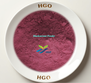 Suministro directo de fábrica de HGO de Polvo puro de grosella negra natural (grado alimenticio) Polvo de fruta (polvo de fruta o verdura) - Product Image 1