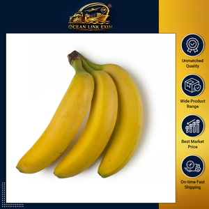 กล้วยสดกล้วยสดคุณภาพระดับพรีเมี่ยมสำหรับการส่งออกขายส่ง - Product Image 2