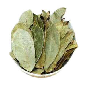 Exportación de hojas de Guanábana secas orgánicas vietnamitas a precio competitivo - Product Image 4