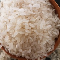Riz Jasmin Biologique Premium Étuvé à Grains Courts en Vrac pour l'Exportation |   Riz blanc séché de qualité supérieure 25/50 kg en sacs PP souples