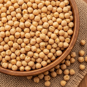 Garbanzos Orgánicos Cuidadosamente Seleccionados, Alimento Seco para Importadores, Legumbres a Granel Limpias, Origen Natural de Granja, Calidad de Cosecha - Product Image 1