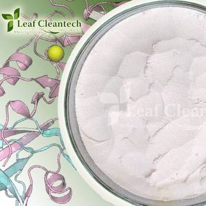 Poudre d'enzymes alimentaires à hémicellulase de qualité supérieure fabriquée par Nutrition Products Company Bulk Supply de Bangalore-Karnataka Inde - Product Image 4