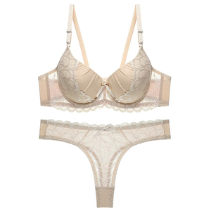 Sexy Transparent Lace Women Panties Breathable Soft Underwear European Fashion Comfortable Lingerie Set - Product Image 2