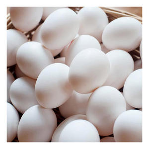 Huevos de Gallina Blancos Frescos de Granja Natural, Exportador a Granel, Proveedor de Huevos de Mesa de Primera Calidad para Restaurantes y Comercios Minoristas - Product Image 6