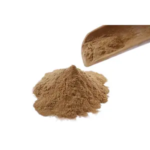 Prodotti naturali estratto di Ginkgo Biloba flavoni attoni estratto di foglie di Ginkgo in polvere polvere di Ginkgo Biloba