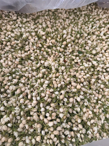 Capullos de Jazmín Secos de Calidad de Exportación, Material Floral Natural Premium para Decoración de Té y Procesamiento de Alimentos, Vietnam - Product Image 6