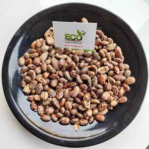 Aceite de Ricino Agrícola Poubelle Eco Export Modelo ECO, Producto de Grano y Aceite con 1 Año de Vida Útil, Almacenamiento en Bodega, Ahmedabad - Product Image 1