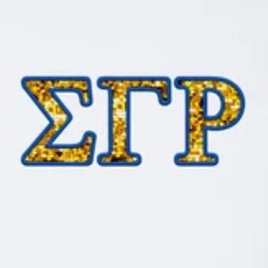 Sweat-shirt personnalisé à sequins brodés effet faux pour femmes, motif lettres grecques Sigma Gamma Rho, col rond, manches longues, pull décontracté pour sororité - Product Image 4