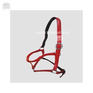 Licou de cheval en pvc de haute qualité dans toutes les couleurs logo personnalisé pour la vente en gros d'accessoires pour chevaux - Product Image 4