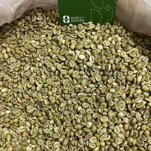 เมล็ดกาแฟโรบัสต้าดิบ คุณภาพพรีเมียม บรรจุถุง 60 กก. ผลิตโดย OEM กระบวนการธรรมชาติ ออร์แกนิค ขนาดสม่ำเสมอ ไม่มีตำหนิ เหมาะสำหรับผู้ค้าส่งทั่วโลก - Product Image 4