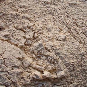 Poudre de Gomme de Guar Naturelle Qualité Alimentaire Ingrédient Hydrocolloïde Inde Marque Internationale FitTree Force Industrielle Blanc pour l'Alimentation - Product Image 5