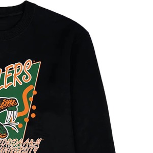 เสื้อสเวตเชิ้ตแฟชั่นไซส์ใหญ่ FAMU ขายส่ง สำหรับสไตล์มหาวิทยาลัย ฮู้ดดี้ปักลาย เทคนิคการปักแบบพิเศษ ผลิตจากโพลีเอสเตอร์/คอตตอน สำหรับใส่ในฤดูใบไม้ร่วง - Product Image 4
