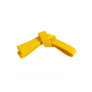 Ceinture de karaté sur mesure multicolore de haute qualité 2026, brodée avec votre propre logo, ceintures d'arts martiaux OEM à faible coût et haute valeur - Product Image 2