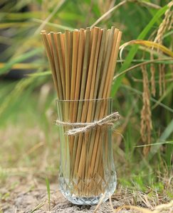 Pajitas de hierba natural para beber, tallos huecos para jugo, café, cócteles, suministros para bares, Eco2go Vietnam - Product Image 2