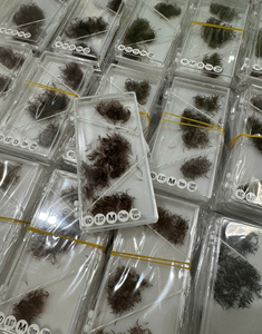 ขนตาปลอม OEM 6D สีน้ำตาล 0.07 มม. แบบงอน M  ทำมือ  ขนยาวเป็นธรรมชาติ  ใย PBT คุณภาพเกาหลี สำหรับต่อขนตาแบบถาด  สำหรับผู้จำหน่ายถาดขนตาแบบนุ่ม - Product Image 4