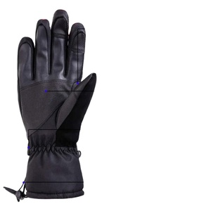 High Quality Ski Gloves <b>Heated</b> Gloves Manufacturers Sell <b>Rechargeable</b> <b>Heated</b> Outdoor Ski Gloves with Customized Packing - Product Image 1