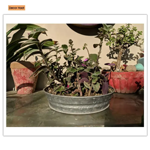 Bac à plantes en métal classique unique de grande taille fabriqué en Inde pour une utilisation intérieure et extérieure à la maison et au jardin - Product Image 4