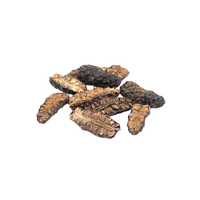 Fournisseur de fruits de noni séchés d'origine vietnamienne proposant des commandes de gros volume pour les acheteurs et les grossistes internationaux
