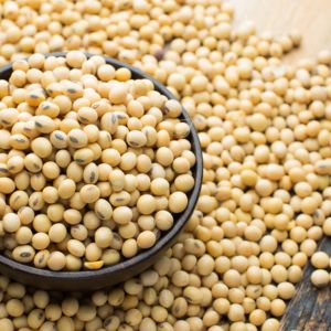 Natural Processed <b>Soybean</b> Seed For Farming Industry And Oil Extraction With High Quality <b>Soybean</b> Seed For Bulk Buyers - Product Image 3