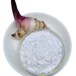 Poudre d'amidon d'arrowroot biologique 100% naturelle sans gluten, en vrac, échantillon gratuit - Product Image 1