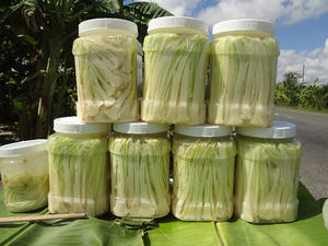 Vietnamese Sweet and Sour <b>Pickled</b> Bulrush Stem in Glass <b>Jar</b> Traditional Ready to Eat Mekong Delta Preserved Vegetable - Product Image 2