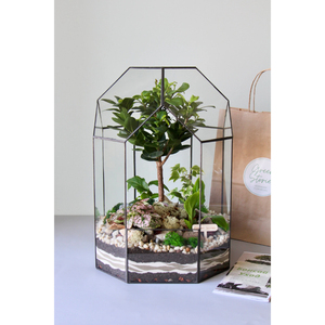 Terrario de Vidrio Irregular Hecho a Mano, Geométrico, Negro, con Base de Cobre, para Plantas Aéreas, Decoración del Hogar - Product Image 5