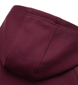 Sudadera con Capucha para Hombre, Informal, Manga Larga, 100% Algodón, Felpa, Corte Regular, Gruesa, Lisa, para Invierno - Product Image 6