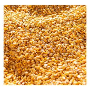 Maíz Amarillo para Alimentación Animal, Grano de Maíz de Alta Calidad para Aves de Corral, Ganado Vacuno, Suministro al por Mayor, Exportación, Proveedor, Fabricante - Product Image 1