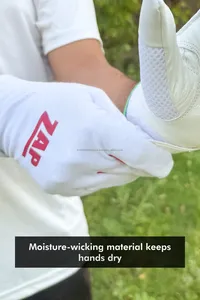 Gants de frappeur de cricket ZAP Club de qualité supérieure et finition premium |   Gants Elite Comfort avec rembourrage pour les doigts et la paume - Product Image 6