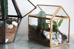 Elegant geometric glass terrarium with metal <b>stand</b> display plant container - Product Image 4
