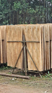 Placage de noyau à prix compétitif pour la production de contreplaqué - Product Image 6