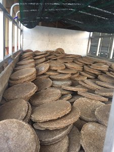 เค้กน้ำมันถั่วลิสงที่อุดมด้วยโปรตีน / อาหารสัตว์และปุ๋ยอินทรีย์ // Elysia - Product Image 2