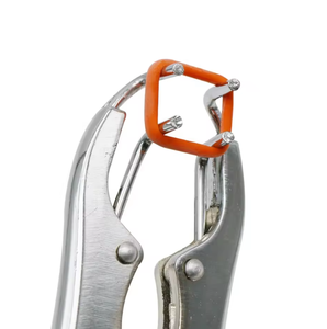 Pince émasculatrice vétérinaire manuelle réutilisable en acier inoxydable 304 avec cliquet pour usage en clinique vétérinaire - Product Image 6